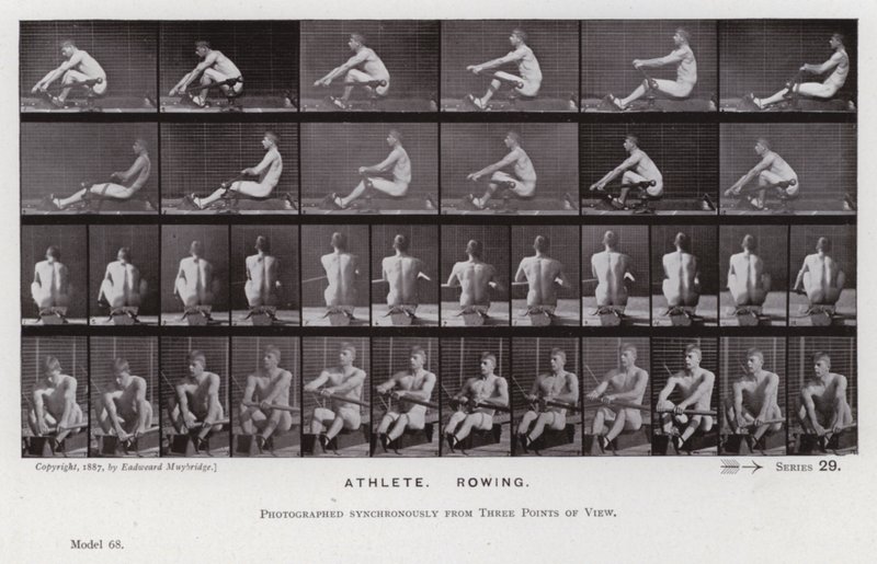 Lidská postava v pohybu: Sportovec, Veslování (č/b foto) od Eadweard Muybridge