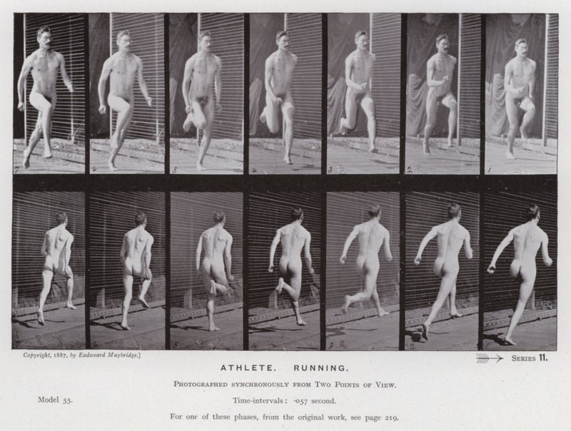 Lidská postava v pohybu: sportovec, běh (č/b foto) od Eadweard Muybridge