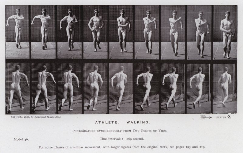 Lidská postava v pohybu: Sportovec, chůze (č/b foto) od Eadweard Muybridge