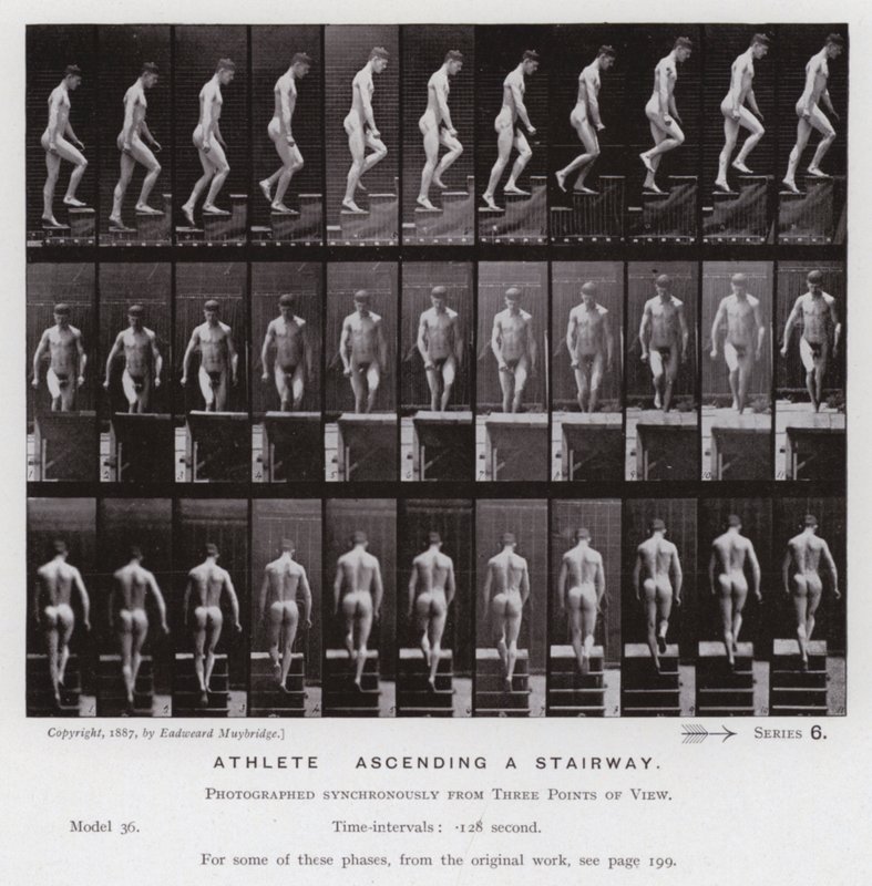 Lidská postava v pohybu: Sportovec, stoupá po schodech (černobílá fotografie) od Eadweard Muybridge