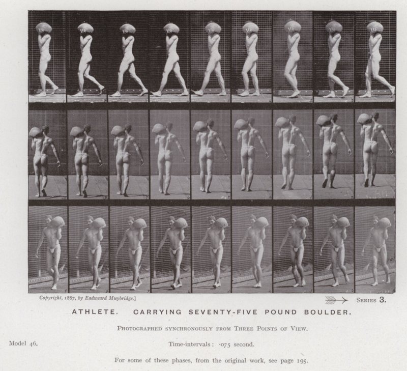 Závěsný od Eadweard Muybridge
