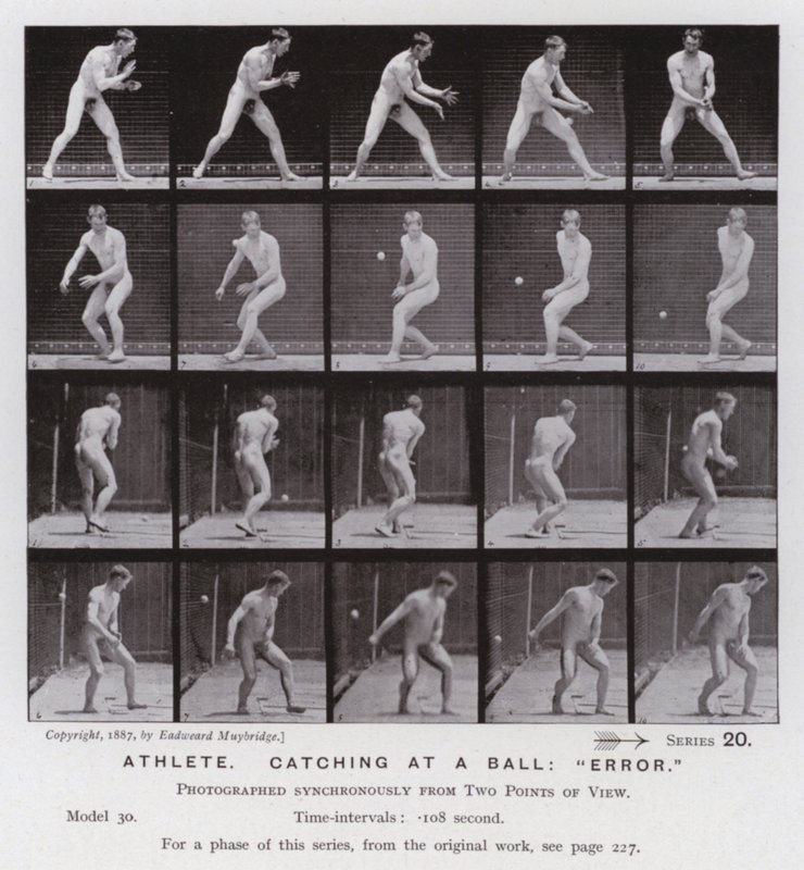 Lidská postava v pohybu: Sportovec, chytání míče, "chyba" (černobílá fotografie) od Eadweard Muybridge