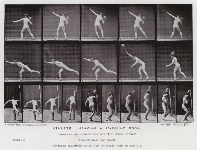 Závěsný od Eadweard Muybridge