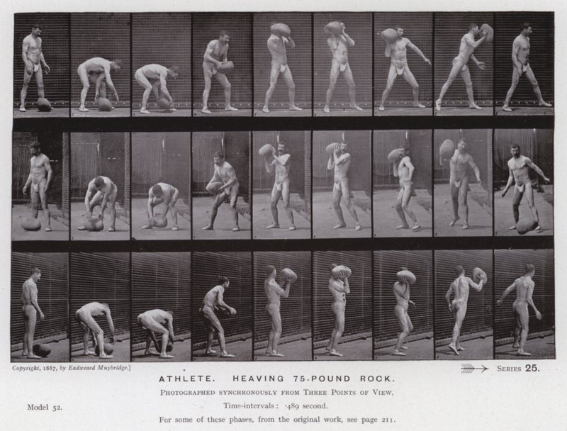 Lidská postava v pohybu: Sportovec, zvedající 75librový kámen od Eadweard Muybridge