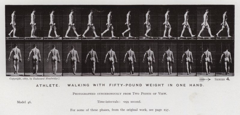 Lidská postava v pohybu: Sportovec, chůze s padesátikilovým závažím v jedné ruce (černobílá fotografie) od Eadweard Muybridge