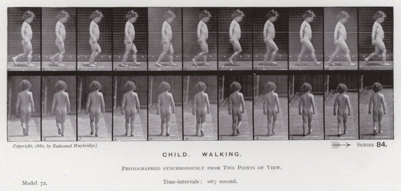 Lidská postava v pohybu: Dítě, chůze (č/b foto) od Eadweard Muybridge