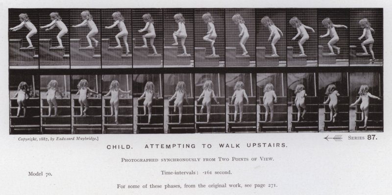 Závěsný od Eadweard Muybridge