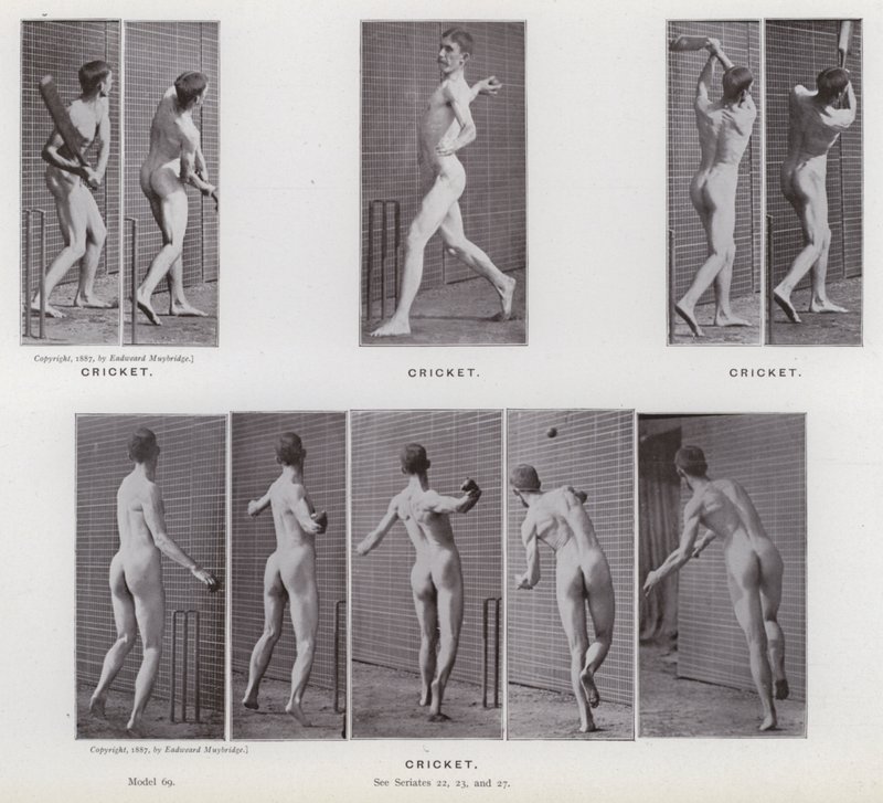 Lidská postava v pohybu: Kriket (černobílá fotografie) od Eadweard Muybridge