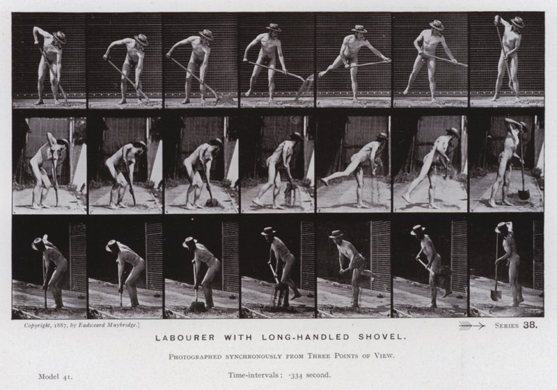 Lidská postava v pohybu: Dělník s lopatou s dlouhou násadou (černobílá fotografie) od Eadweard Muybridge