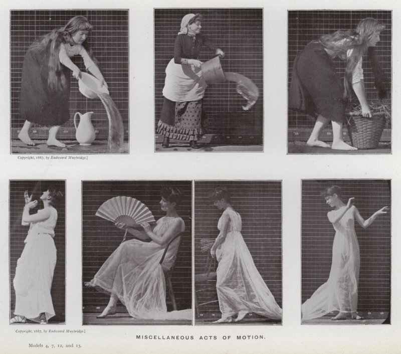 Lidská postava v pohybu: Různé pohyby (černobílá fotografie) od Eadweard Muybridge
