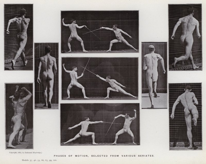 Lidská postava v pohybu: Fáze pohybu, vybrané z různých sérií (černobílá fotografie) od Eadweard Muybridge