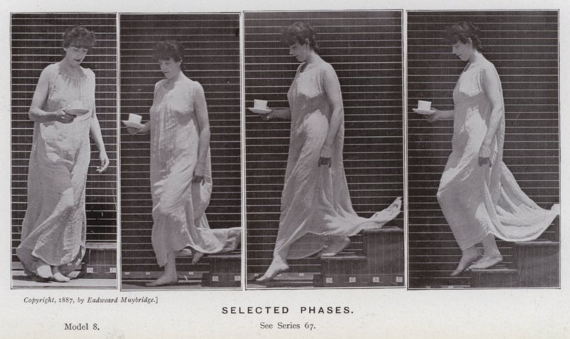 Závěsný od Eadweard Muybridge