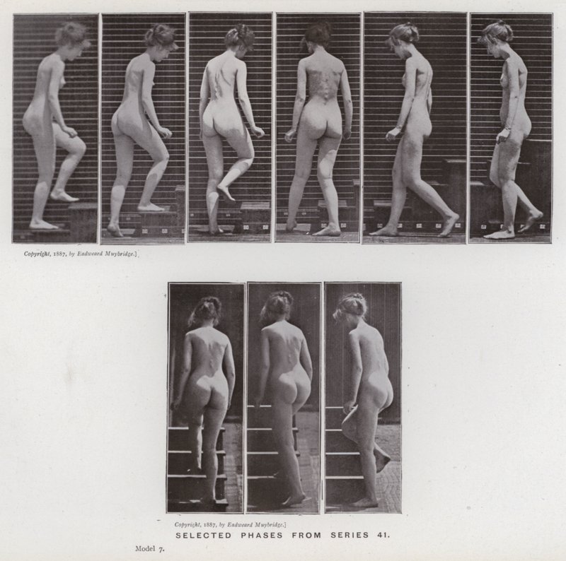 Závěsný od Eadweard Muybridge