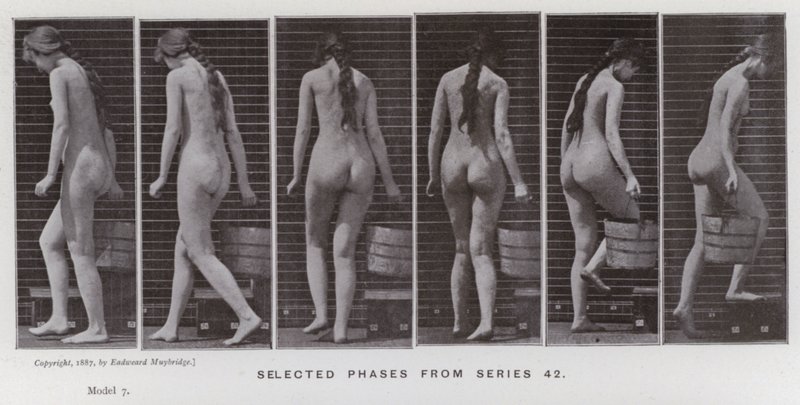 Lidská postava v pohybu: Vybrané fáze ze série 42 (černobílá fotografie) od Eadweard Muybridge