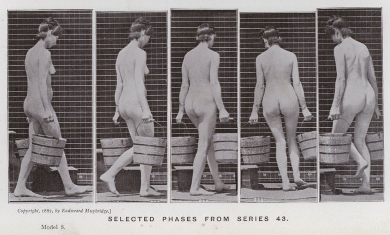 Lidská postava v pohybu: Vybrané fáze ze série 43 (černobílá fotografie) od Eadweard Muybridge