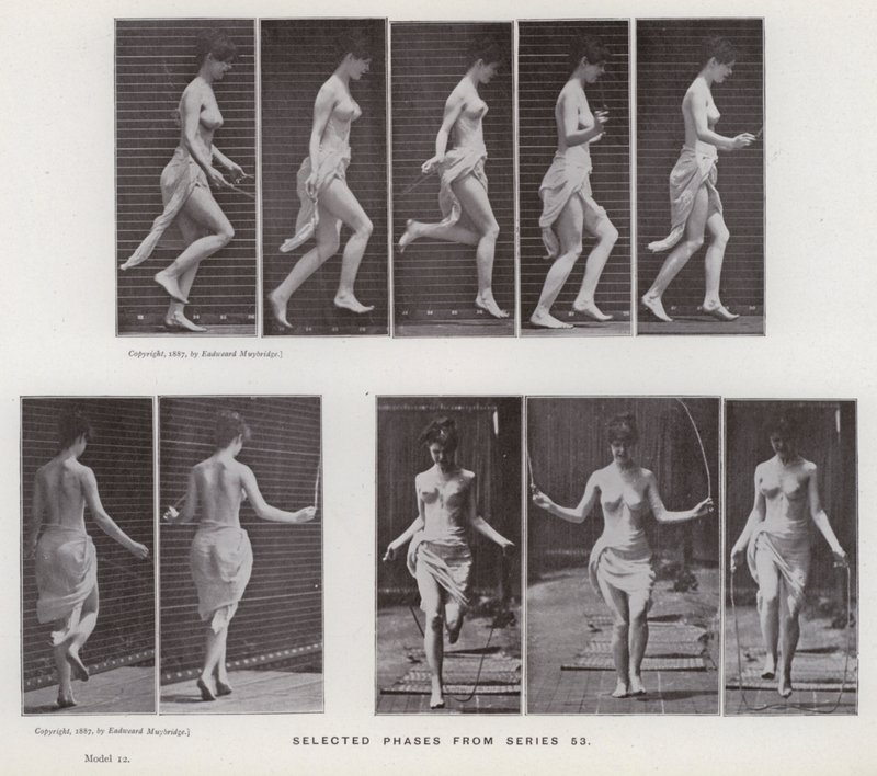 Lidská postava v pohybu: Vybrané fáze ze série 53 (černobílá fotografie) od Eadweard Muybridge
