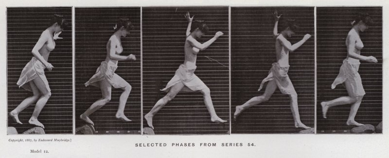 Lidská postava v pohybu: Vybrané fáze ze série 54 (černobílá fotografie) od Eadweard Muybridge