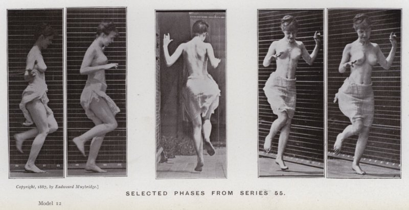 Lidská postava v pohybu: Vybrané fáze ze série 55 (černobílá fotografie) od Eadweard Muybridge