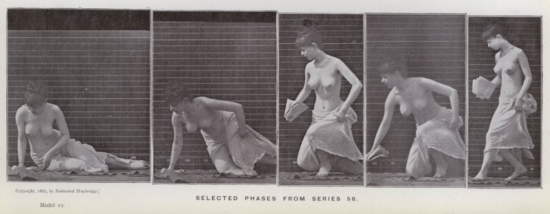 Lidská postava v pohybu: Vybrané fáze ze série 56 (černobílá fotografie) od Eadweard Muybridge