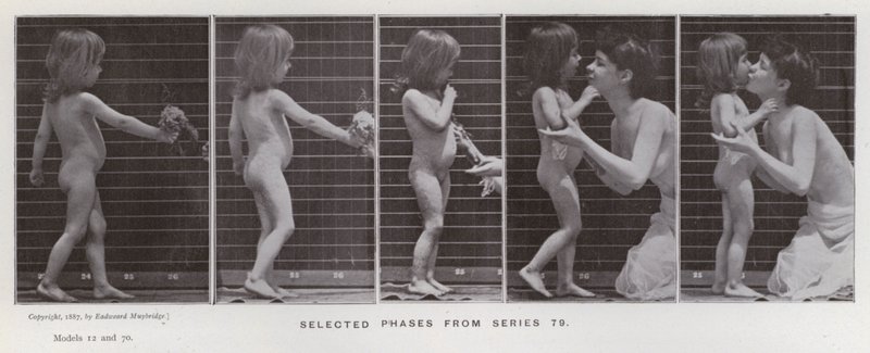 Lidská postava v pohybu: Vybrané fáze ze série 79 (černobílá fotografie) od Eadweard Muybridge