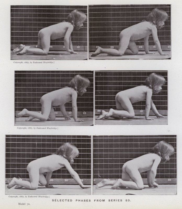 Lidská postava v pohybu: Vybrané fáze ze série 83 (černobílá fotografie) od Eadweard Muybridge