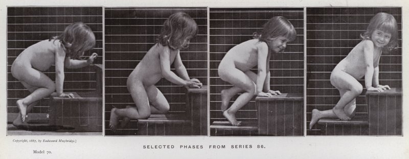 Lidská postava v pohybu: Vybrané fáze ze série 86 (černobílá fotografie) od Eadweard Muybridge