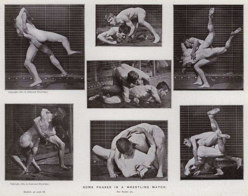 Lidská postava v pohybu: Některé fáze zápasového zápasu (černobílá fotografie) od Eadweard Muybridge