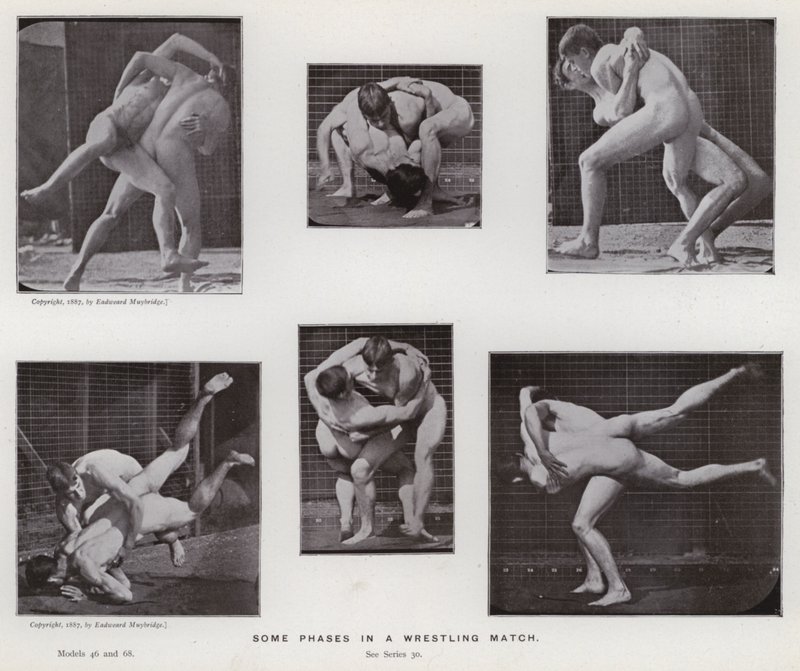 Lidská postava v pohybu: Některé fáze zápasu od Eadweard Muybridge
