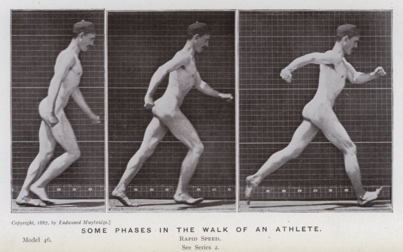 Lidská postava v pohybu: Některé fáze chůze sportovce (černobílá fotografie) od Eadweard Muybridge