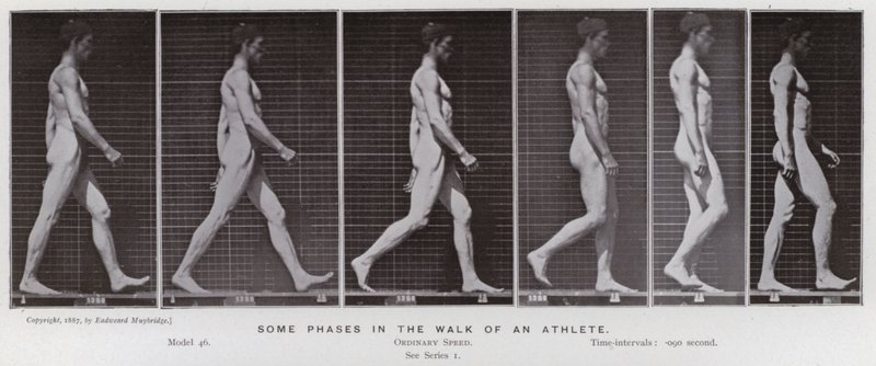 Lidská postava v pohybu: Některé fáze chůze sportovce (černobílá fotografie) od Eadweard Muybridge