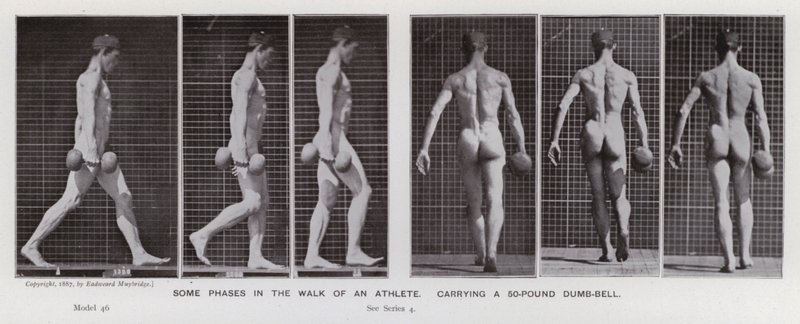 Lidská postava v pohybu: Některé fáze chůze sportovce, který nese 50kilovou činku (černobílá fotografie) od Eadweard Muybridge