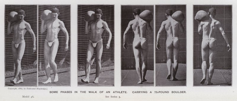 Lidská postava v pohybu: Některé fáze chůze sportovce nesoucího 75 liber těžký balvan (černobílá fotografie) od Eadweard Muybridge