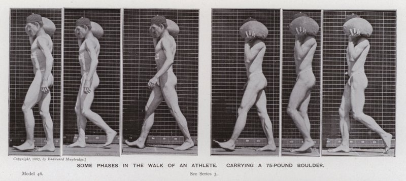 Lidská postava v pohybu: Některé fáze chůze sportovce nesoucího 75 liber těžký balvan (černobílá fotografie) od Eadweard Muybridge