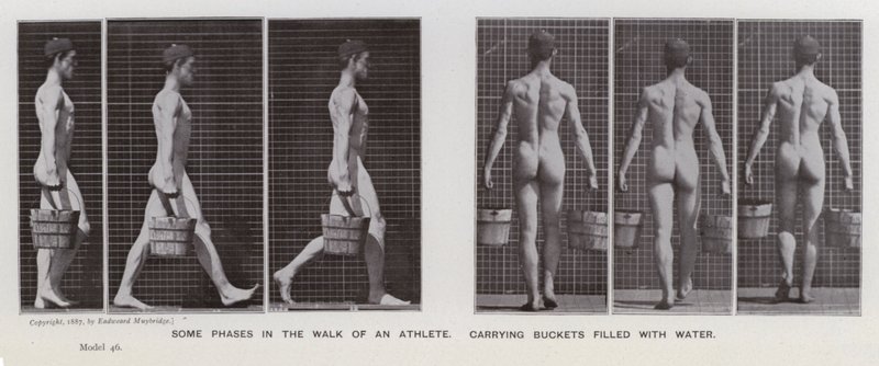 Lidská postava v pohybu: Některé fáze chůze sportovce s kbelíky naplněnými vodou (černobílá fotografie) od Eadweard Muybridge
