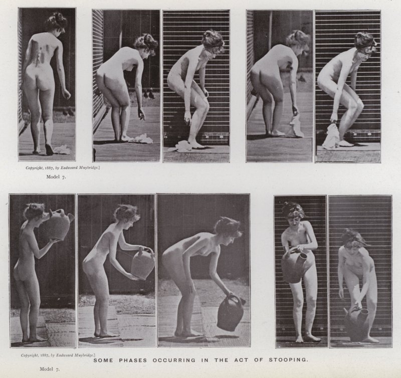 Lidská postava v pohybu: Některé fáze nastávající při shýbání se od Eadweard Muybridge