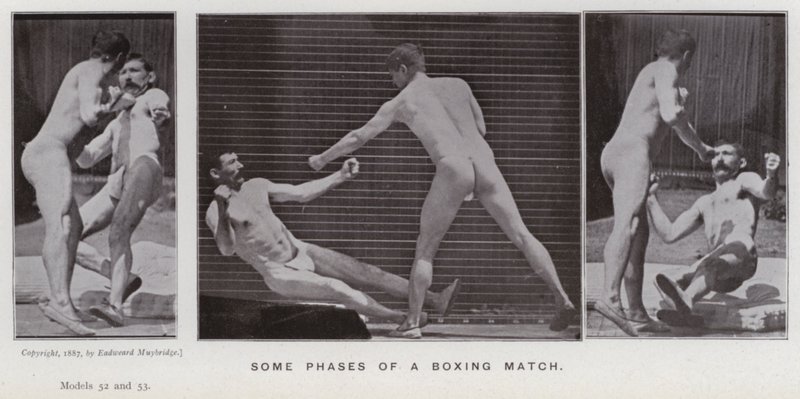 Závěsný od Eadweard Muybridge