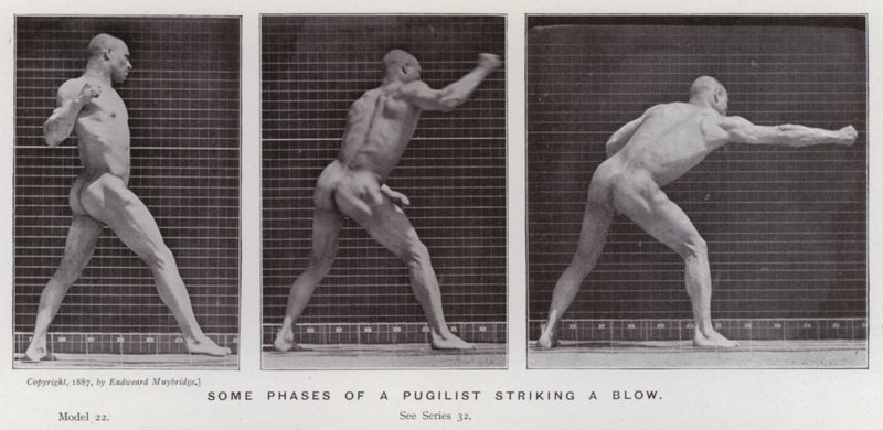 Lidská figura v pohybu: Některé fáze úderu pugilisty (černobílá fotografie) od Eadweard Muybridge