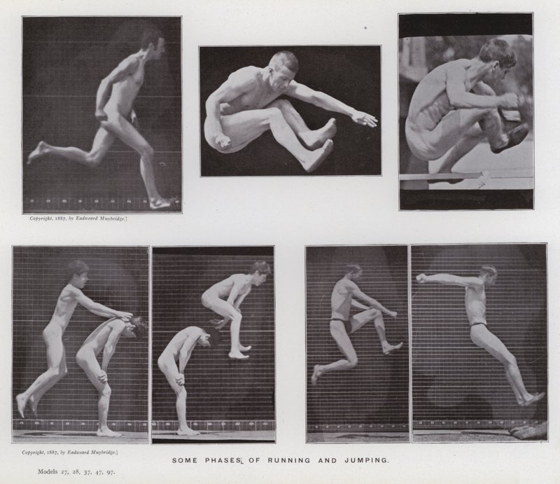 Lidská postava v pohybu: Některé fáze běhu a skákání (černobílá fotografie) od Eadweard Muybridge