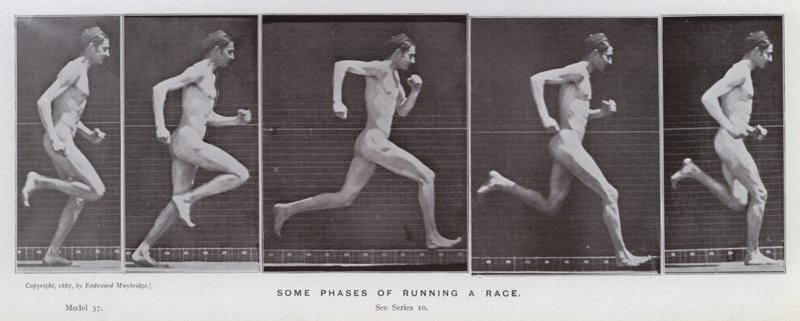 Závěsný od Eadweard Muybridge