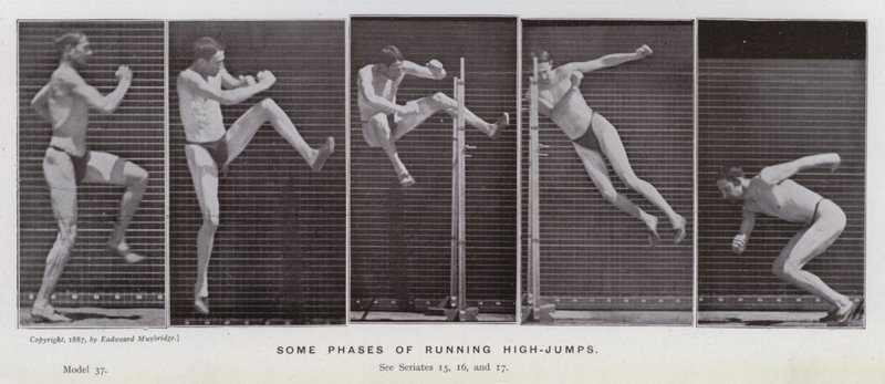 Závěsný od Eadweard Muybridge