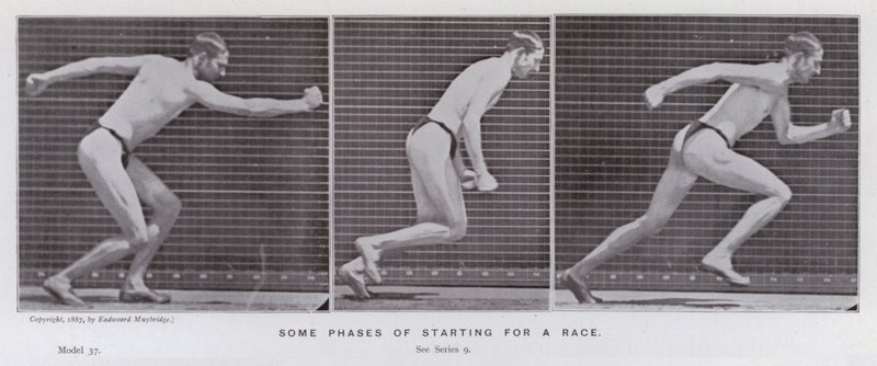 Závěsný od Eadweard Muybridge