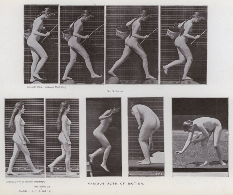 Lidská postava v pohybu: Různé pohyby (černobílá fotografie) od Eadweard Muybridge