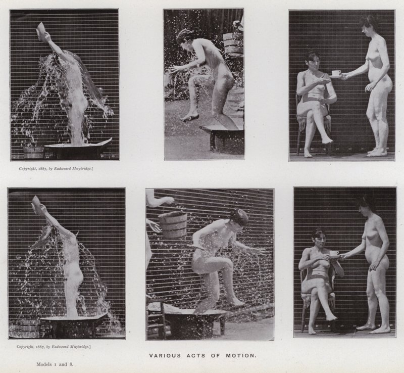 Lidská postava v pohybu: Různé pohyby (černobílá fotografie) od Eadweard Muybridge