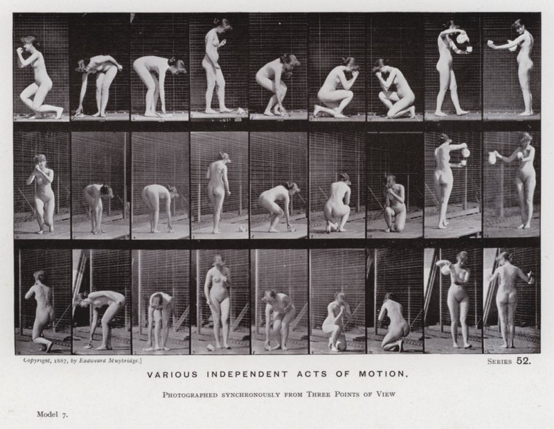 Lidská postava v pohybu: Různé nezávislé pohyby (černobílá fotografie) od Eadweard Muybridge