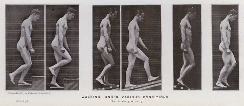 Lidská postava v pohybu: Chůze za různých podmínek (černobílá fotografie) od Eadweard Muybridge