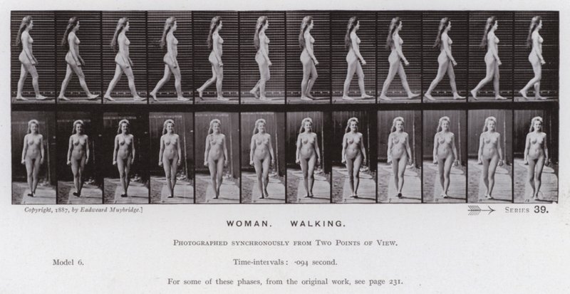 Lidská postava v pohybu: Žena, chůze (č/b foto) od Eadweard Muybridge