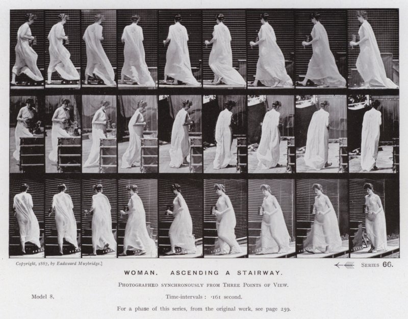 Lidská postava v pohybu: Žena, stoupající po schodech (č/b foto) od Eadweard Muybridge