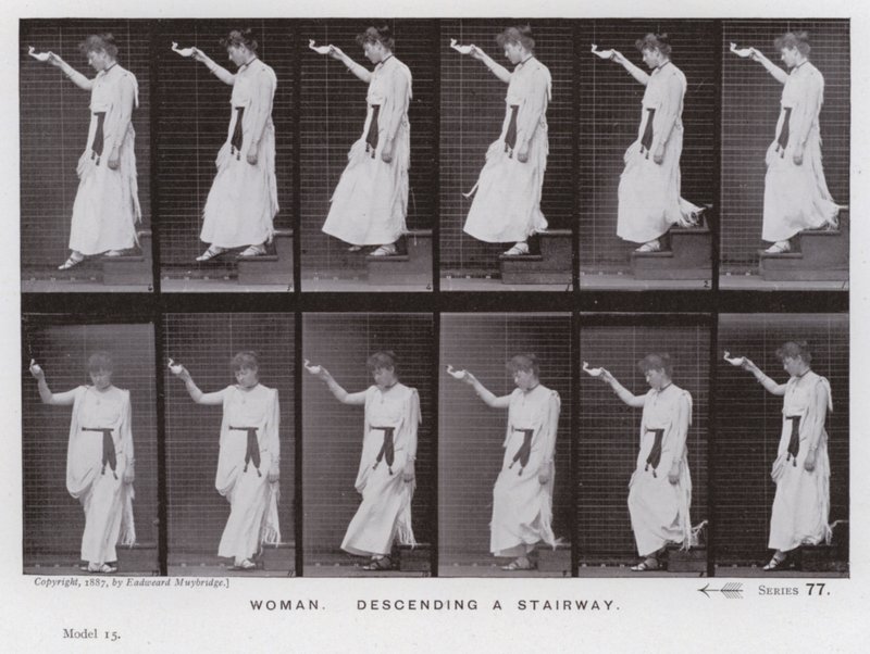 Závěsný od Eadweard Muybridge