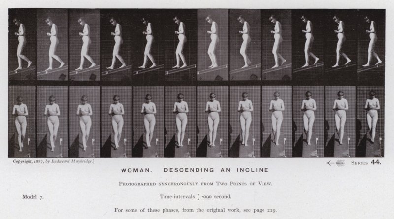 Závěsný od Eadweard Muybridge