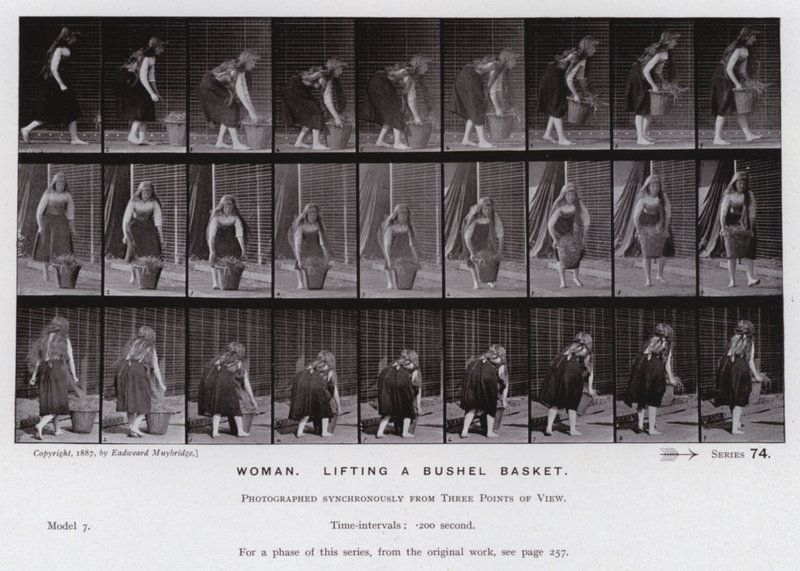 Lidská postava v pohybu: Žena zvedá košíček (černobílá fotografie) od Eadweard Muybridge